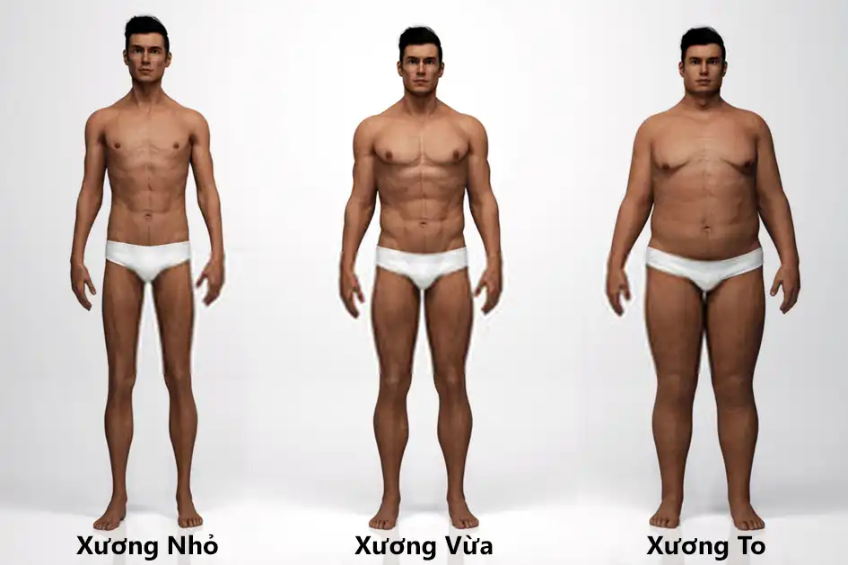 Người nam giới có khung xương nhỏ với vóc dáng mảnh mai