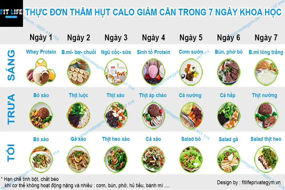 Thực đơn thâm hụt calo