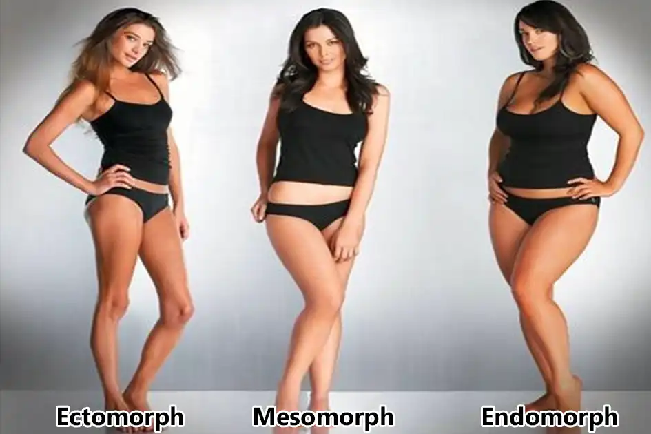 Tạng người Mesomorph trời phú: cân đối, cơ bắp săn chắc, khỏe mạnh